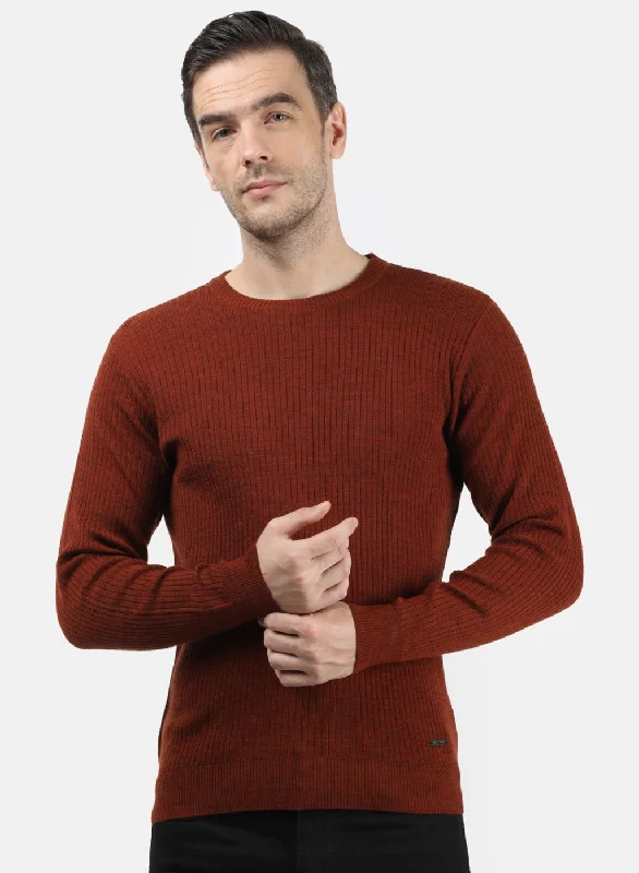 Men Brown Solid Pullover